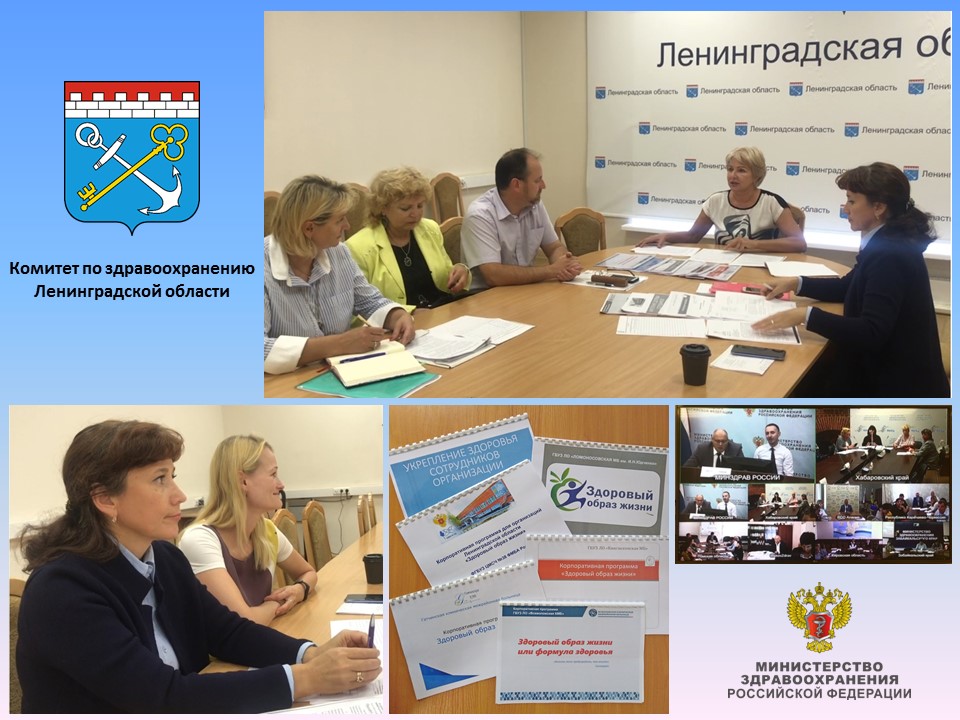 Логотип комитета по здравоохранению санкт-петербурга. Комитет здравоохранения спб. Логотип комитета по здравоохранению санкт-петербурга. Проверка комитета здравоохранения. Комитет здравоохранения.